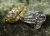 Image for Yellow Gold Wedding Band (NA)